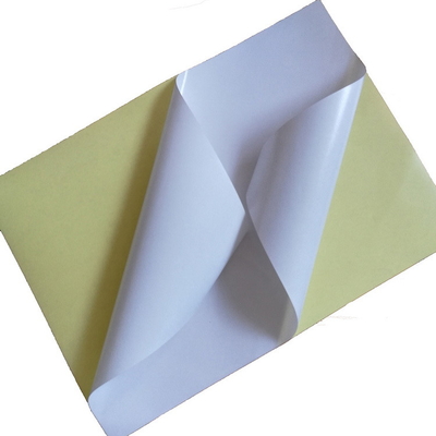 Folha de papel moldada SS0111 da etiqueta revestida com colagem adesiva forte super