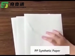 Material de etiqueta adesivo de papel sintético de PP mate